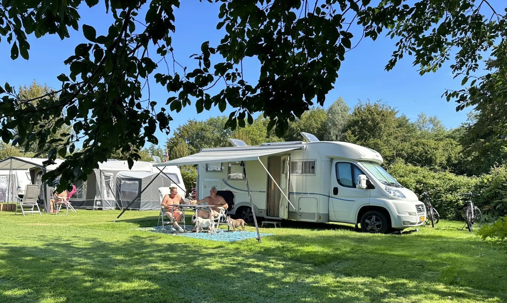 Naturistencamping Nederland Flevo Natuur hond 15