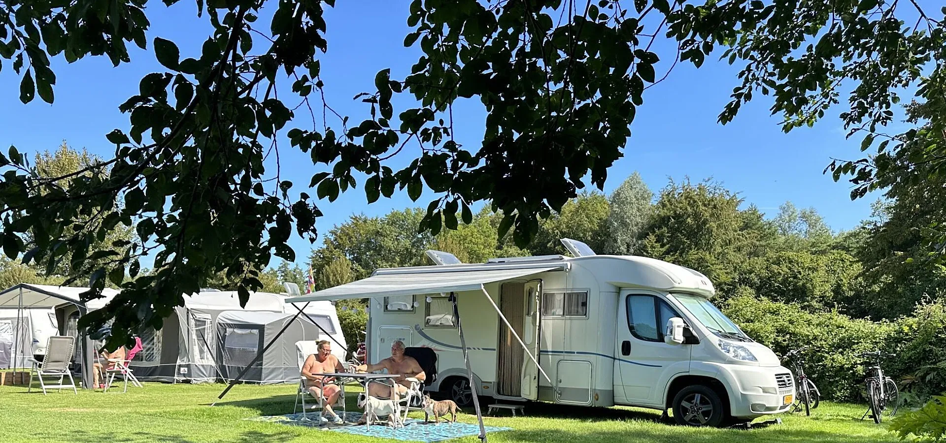Naturistencamping Nederland Flevo Natuur hond 15