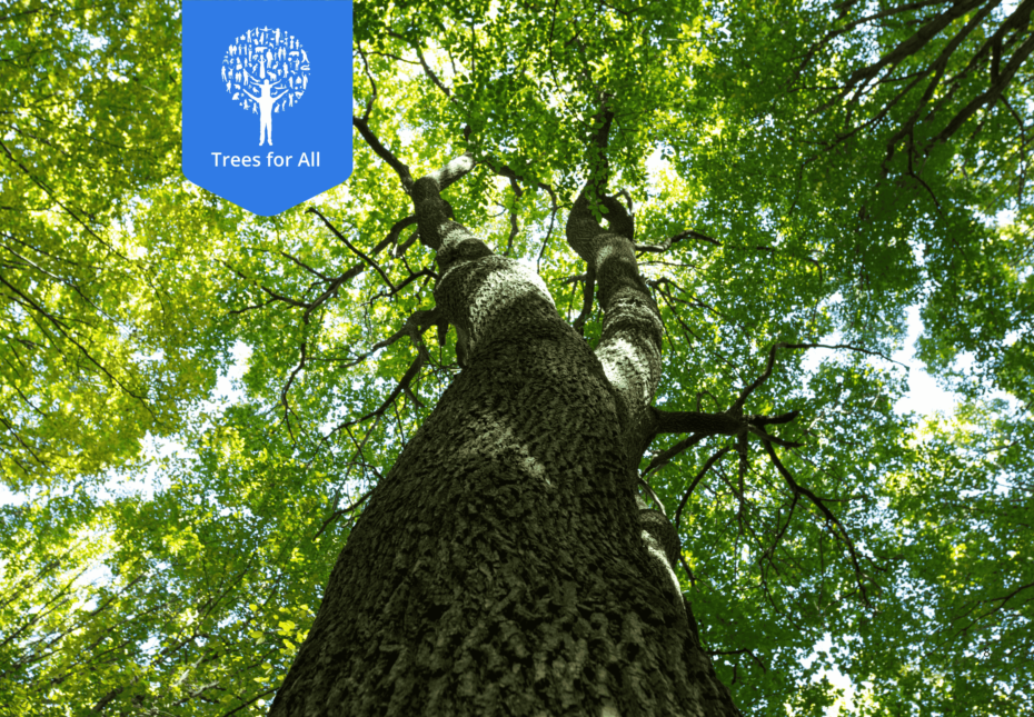 Trees for all